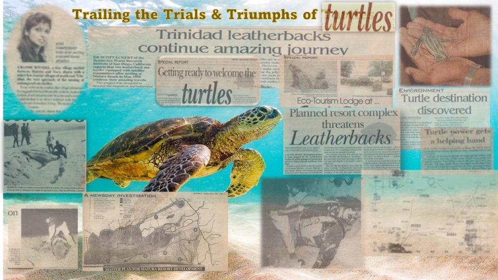 Trekking through three decades on the trail of the trials and triumphs of turtles with Dr Kris Rampersad Happy World Turtle Day
